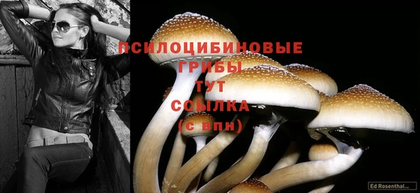 бутират Дмитров
