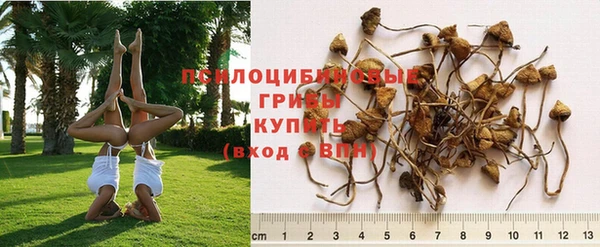 круглые Дмитровск