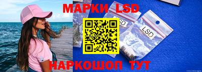 гашик Гагарин