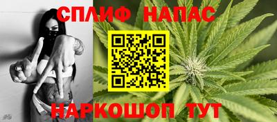 гашик Гагарин