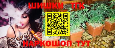гашик Гагарин