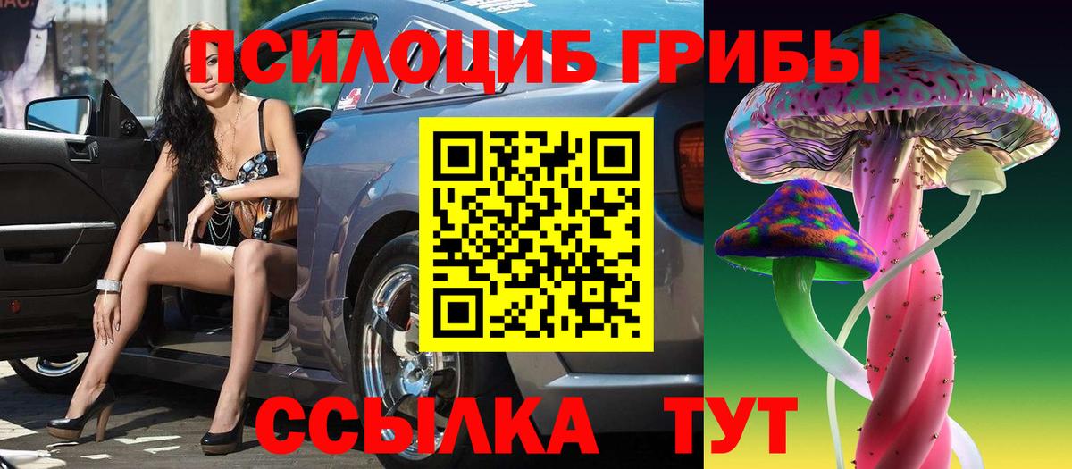 Галлюциногенные грибы GOLDEN TEACHER Острогожск