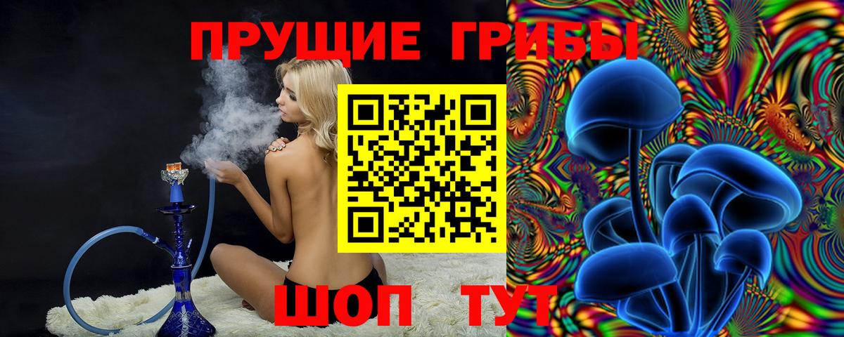 Псилоцибиновые грибы GOLDEN TEACHER Острогожск