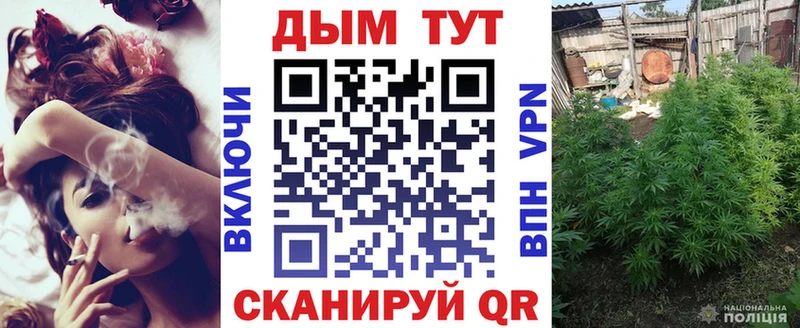 Бошки Шишки план  Острогожск 